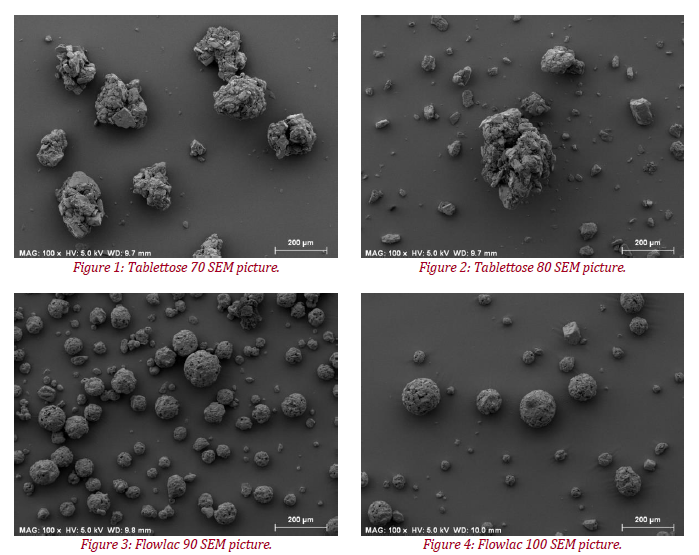 SEM pictures of tablettose 70, tablettose 80, Flowlac 90, Flowlac 100